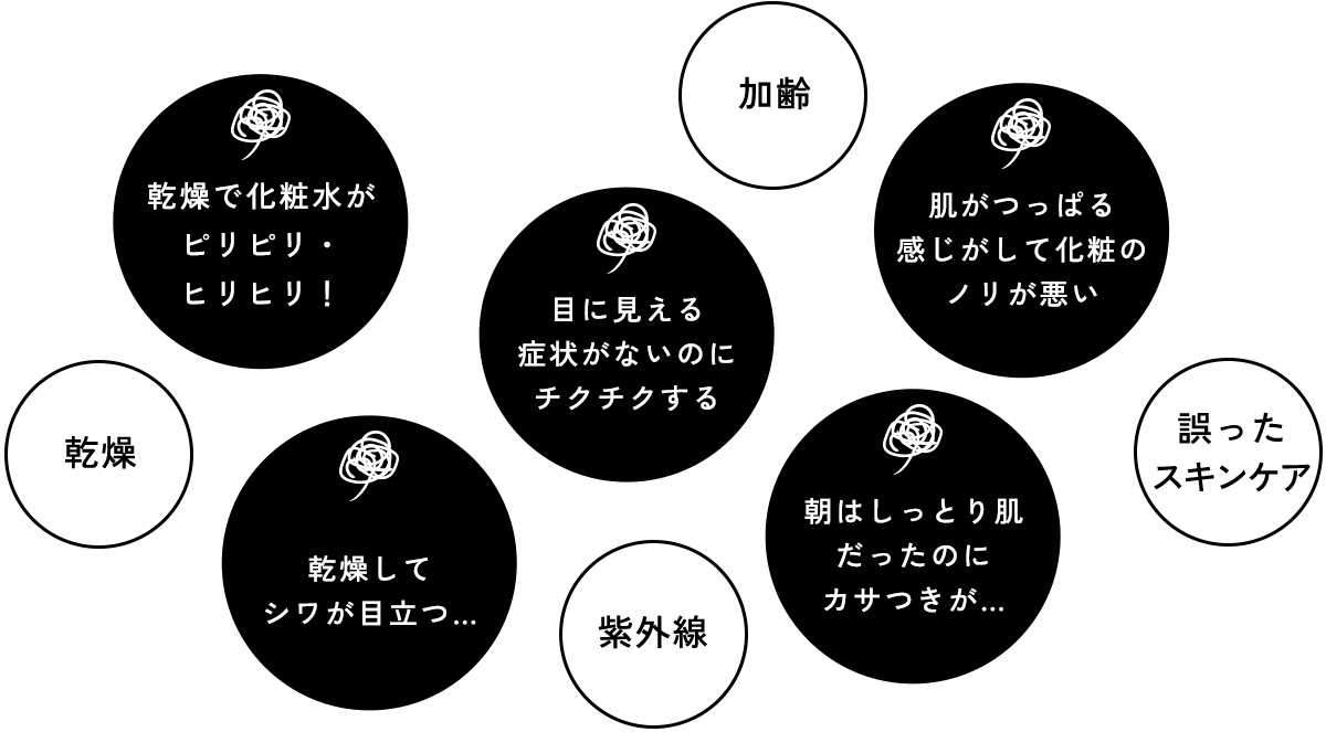 乾燥で化粧水がピリピリ・ヒリヒリ！、目に見える症状がないのにチクチクする、加齢、肌がつっぱる感じがして化粧のノリが悪い、乾燥、乾燥してシワが目立つ…、紫外線、朝はしっとり肌だったのにカサつきが…、誤ったスキンケア